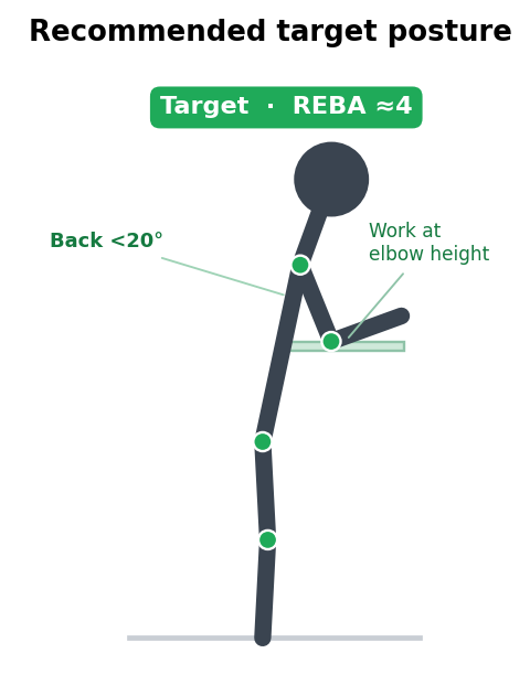 Recommended target posture — projected REBA around 4